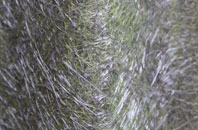 The Holt fibreglass roof work